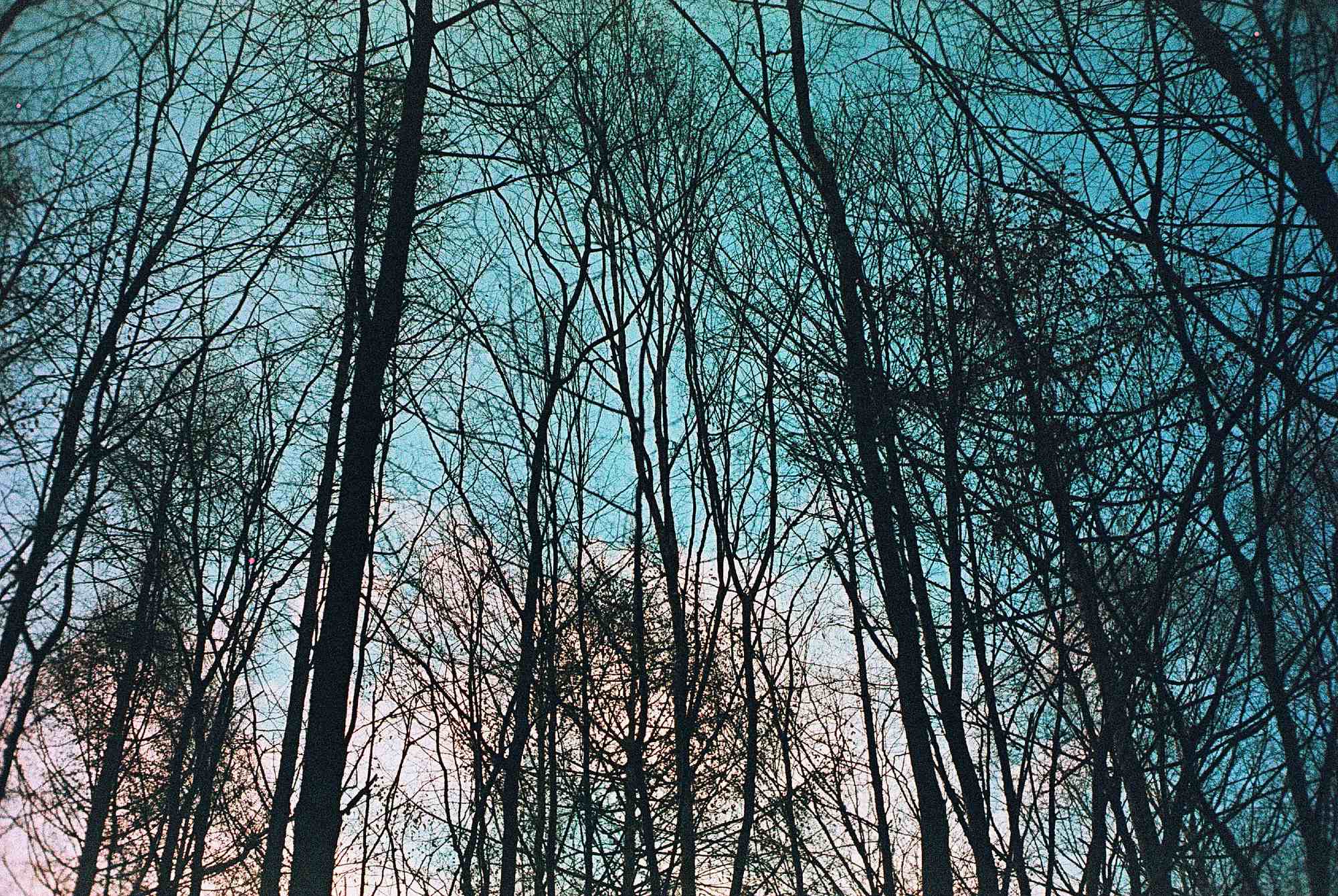 Vkl 2019 02 20 Leica CL 7Artisans Precisa cross (29)